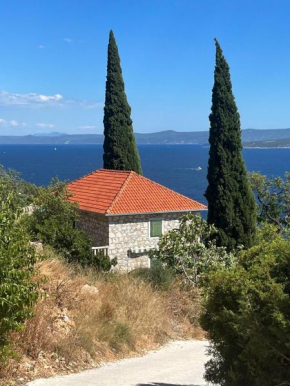 Kameni cvijet